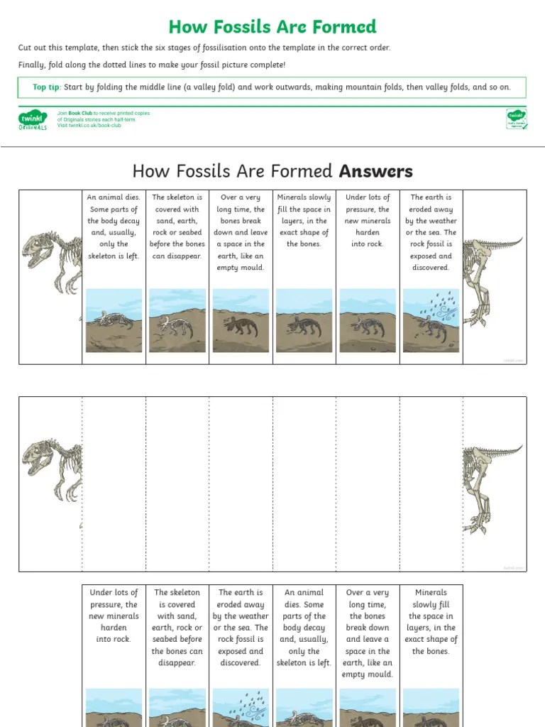 T TP 2550624 Ordering The Stages of Fossilisation ks2 Activity Ver
