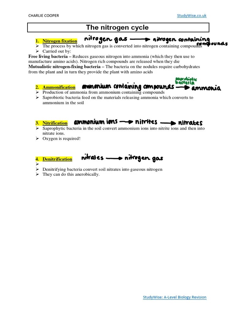 5.nutrient Cycles PDF Physical Geography Systems Ecology