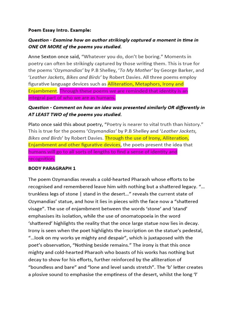 Poem Essay Paragraph Samples PDF Poetry