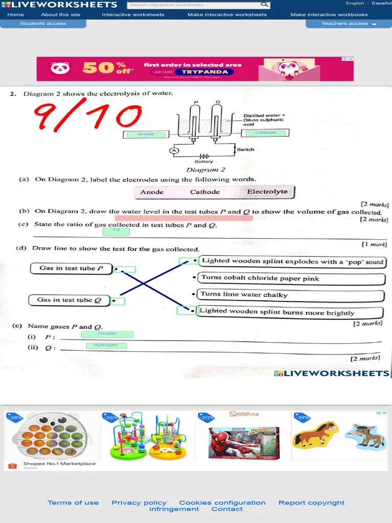 Electrolysis Worksheet PDF