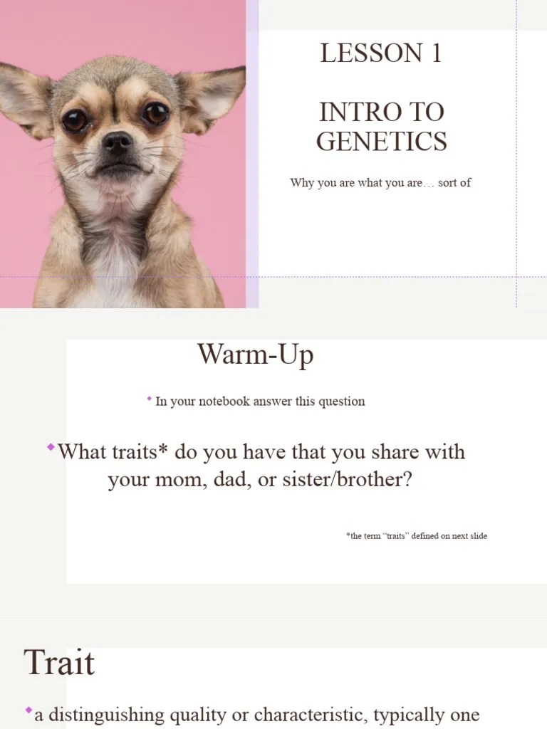 Unit 4 Lesson 1 - Intro To Genetics | PDF