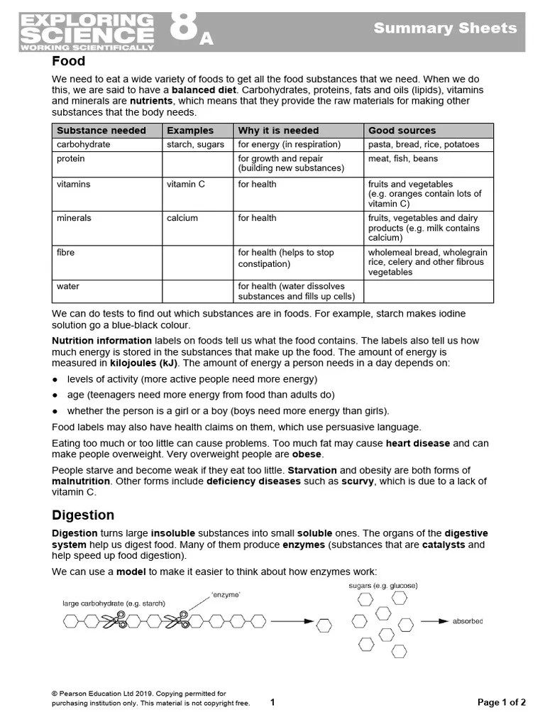 Summary Sheet PDF Food Energy Foods