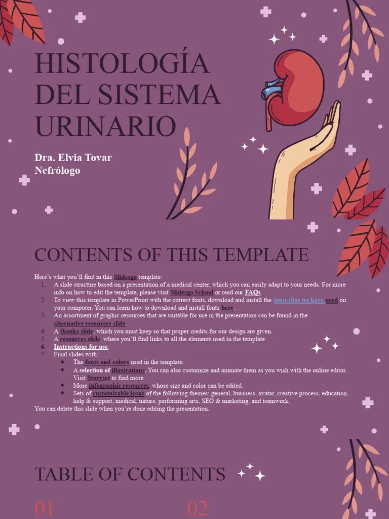 Kidneys Nephrology Center by Slidesgo PDF Mercury