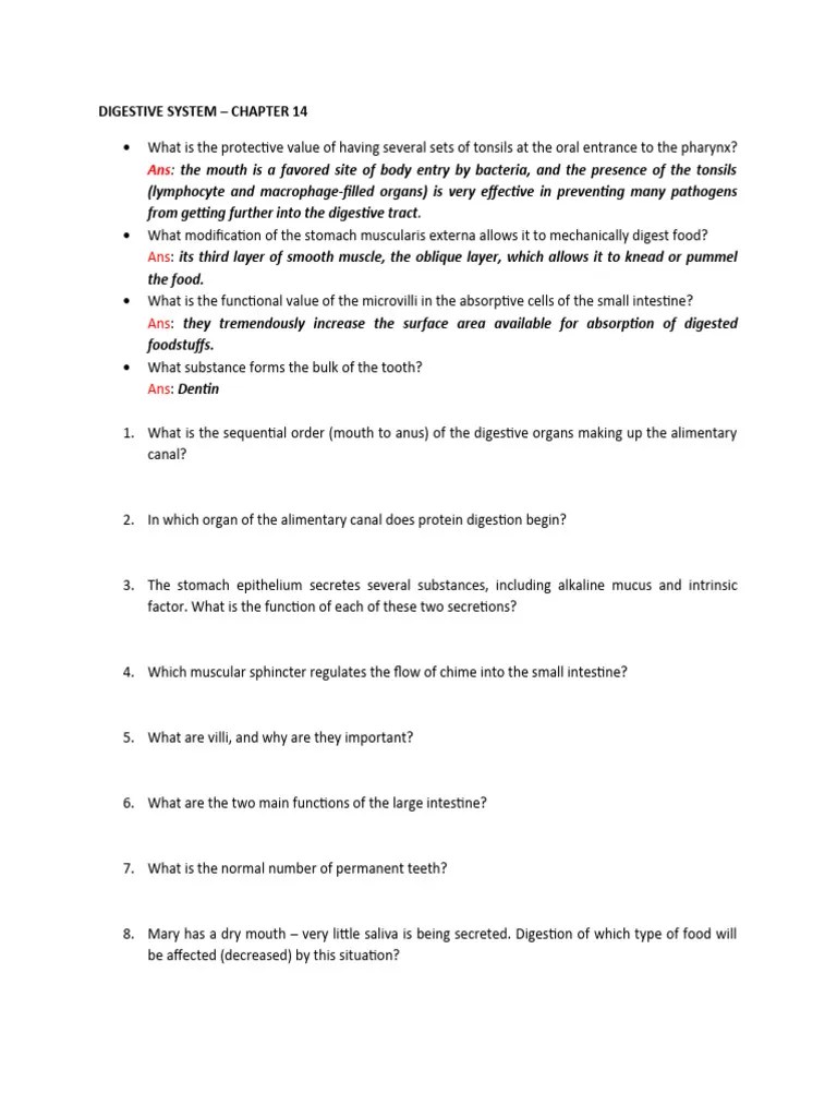 Digestive System Test Questions PDF