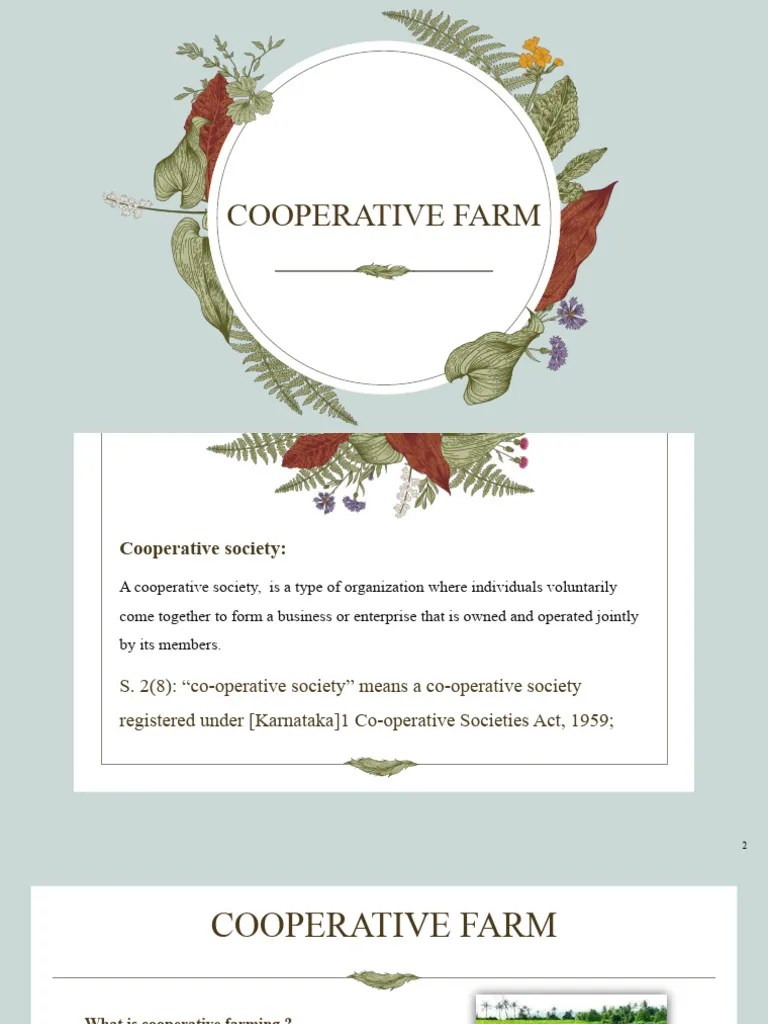 Cooperative Farm PDF