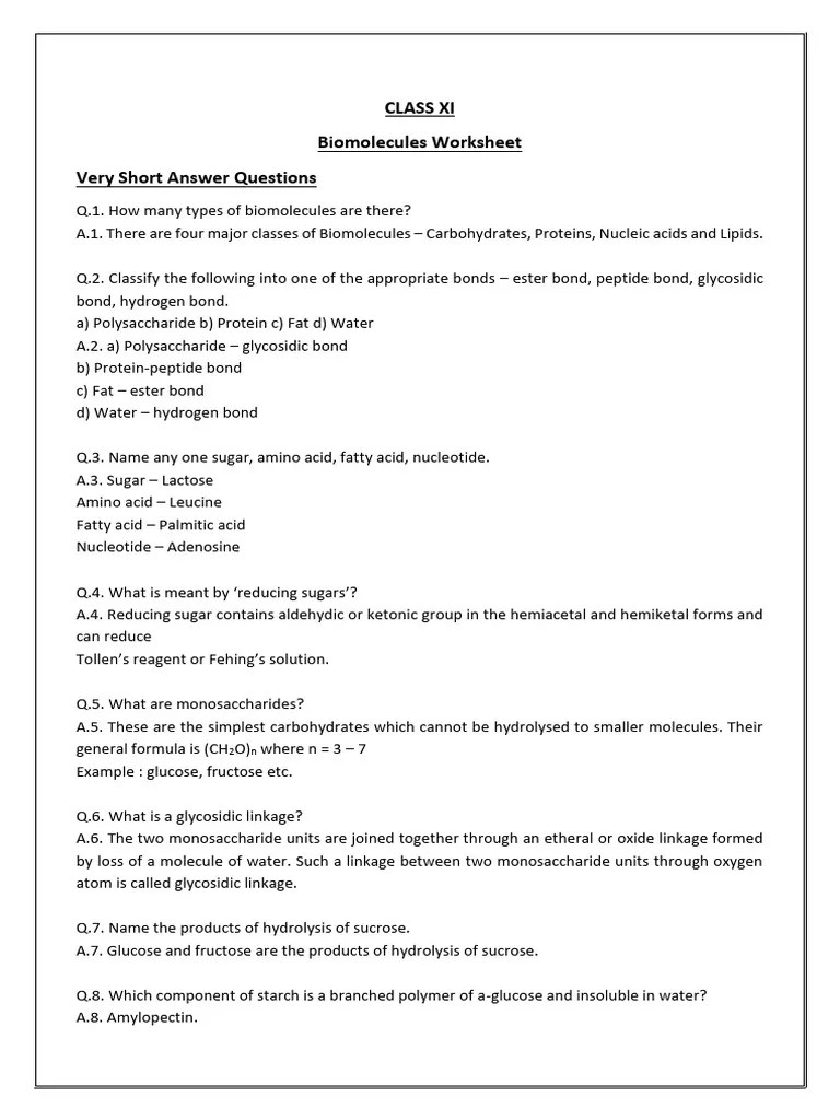 Biomolecules Worksheet 1 | PDF | Hydrolysis | Nucleotides