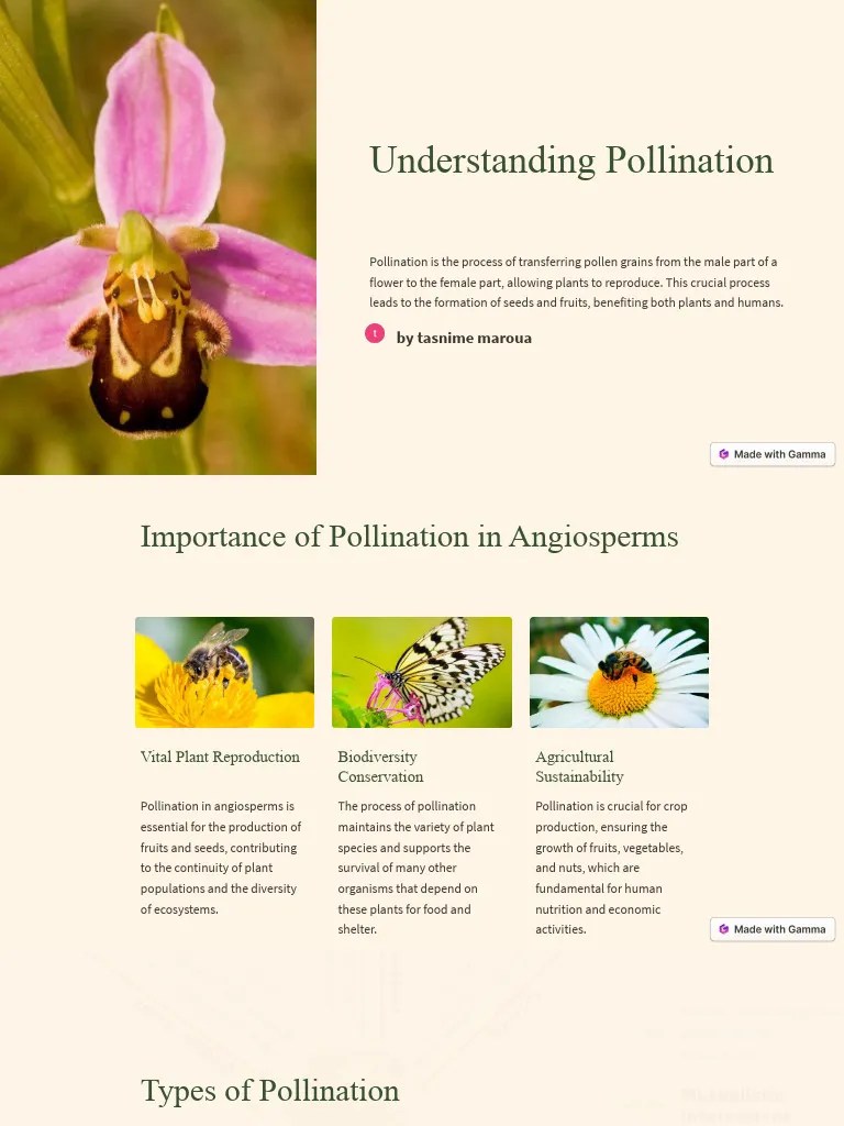 Understanding Pollination PDF Pollination Flowers
