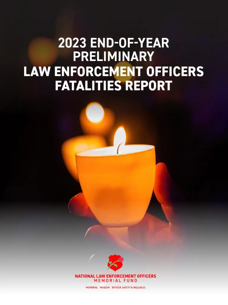 2023 LODD Fatality Report PDF Traffic Collision Crime & Violence(02)
