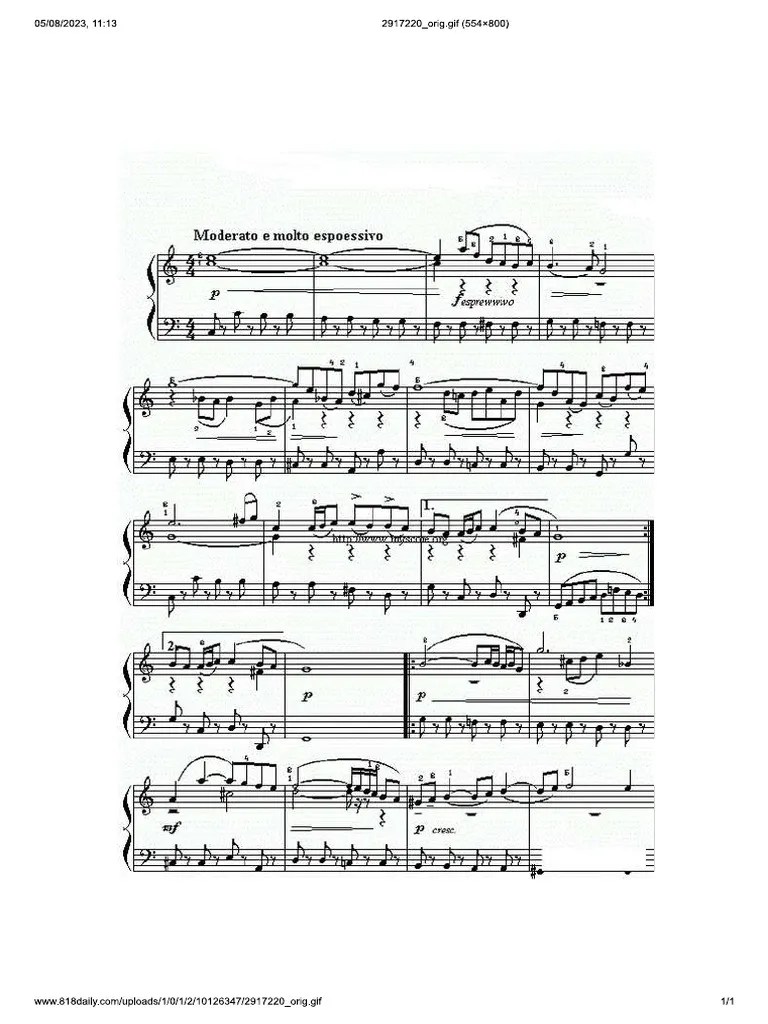Aria Bach Accordion PDF