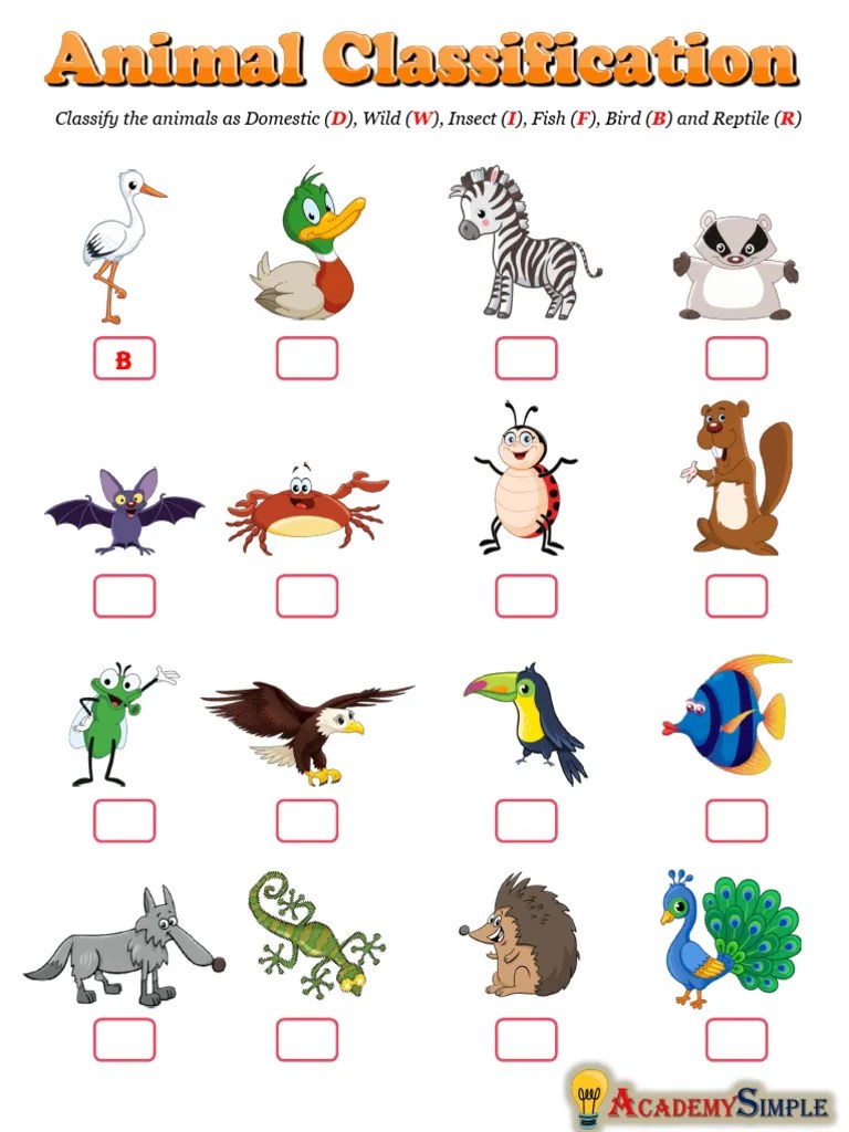 Animal Classification 4 PDF