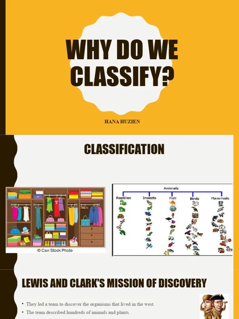 Why do we classify PDF