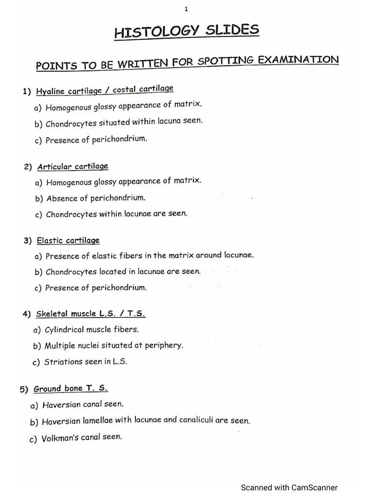 Histology Slide Identification Points yes PDF