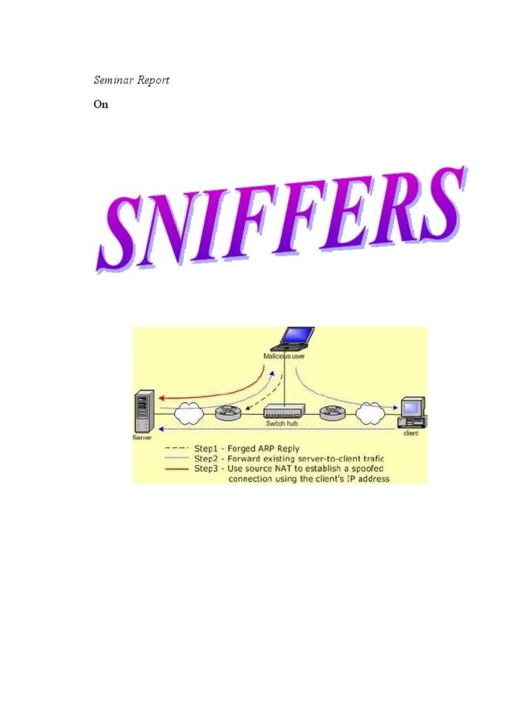 Sniffer Report PDF Computer Network