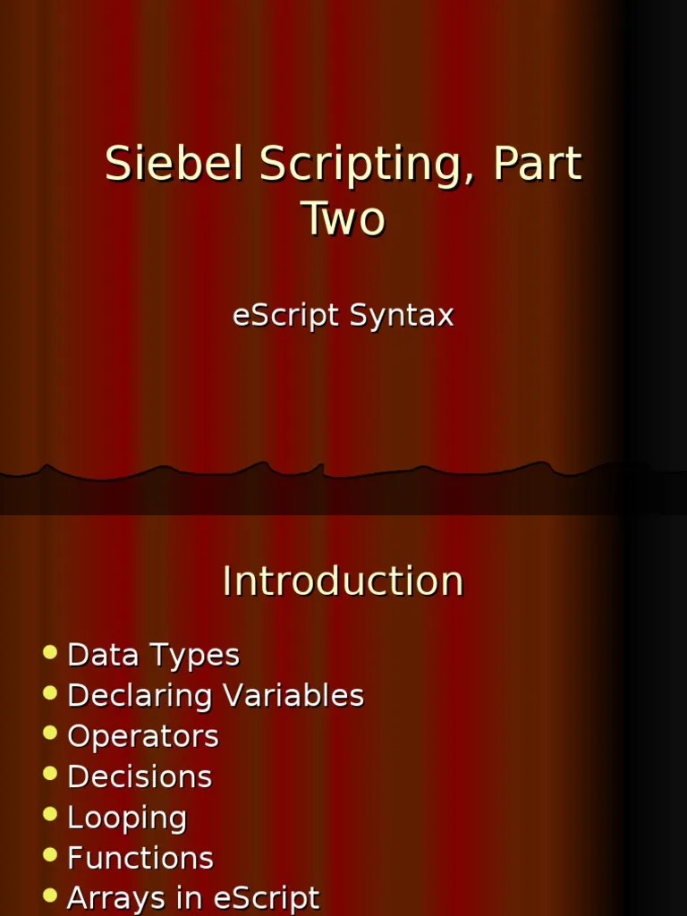 Siebel Scripting 3 | Control Flow | String (Computer Science)