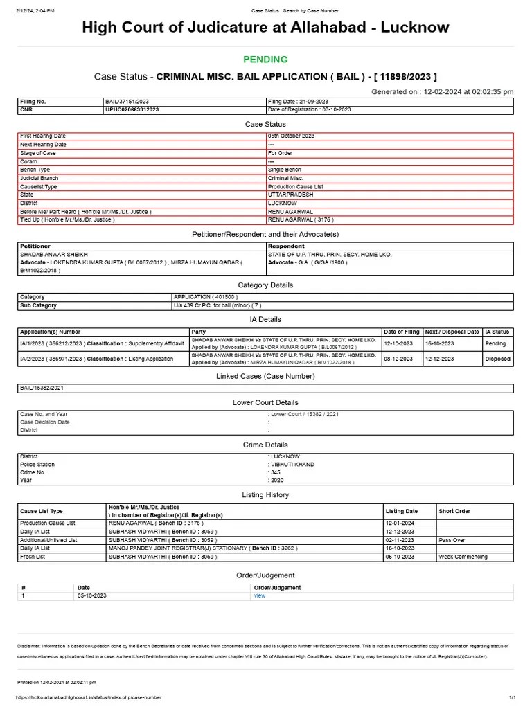 Case Status Search by Case Number Download Free PDF Bail Government