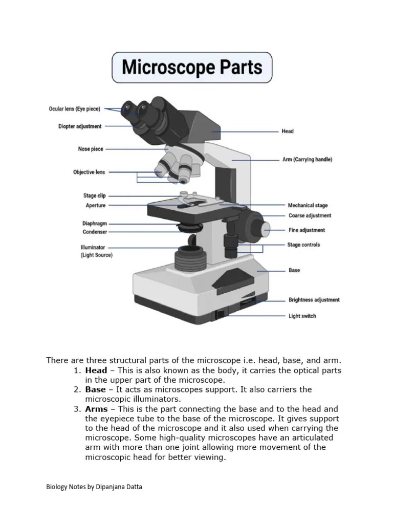 Parts of A Microscope | PDF | Equipment | Electrodynamics