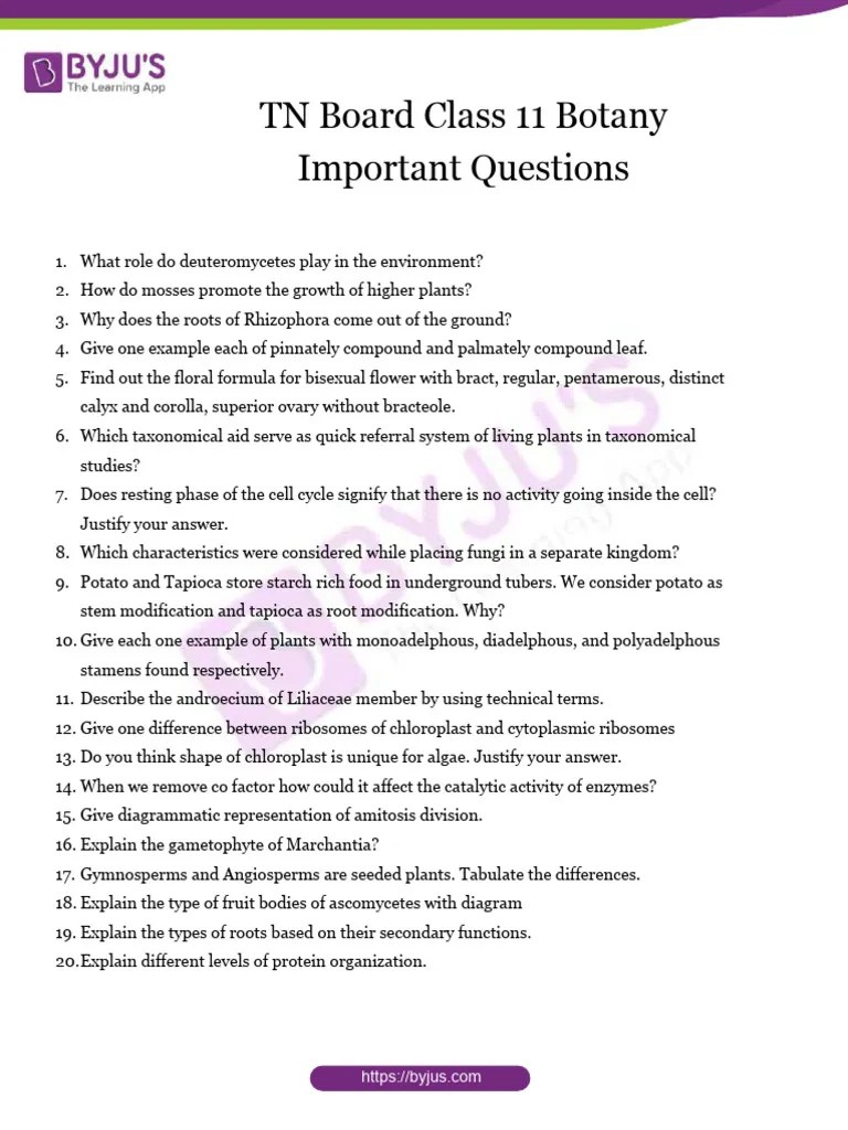 TN Board Class 11 Botany Important Questions PDF