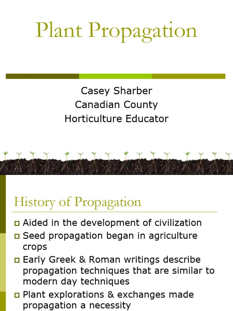 Plant Propagation PDF Seed Grafting