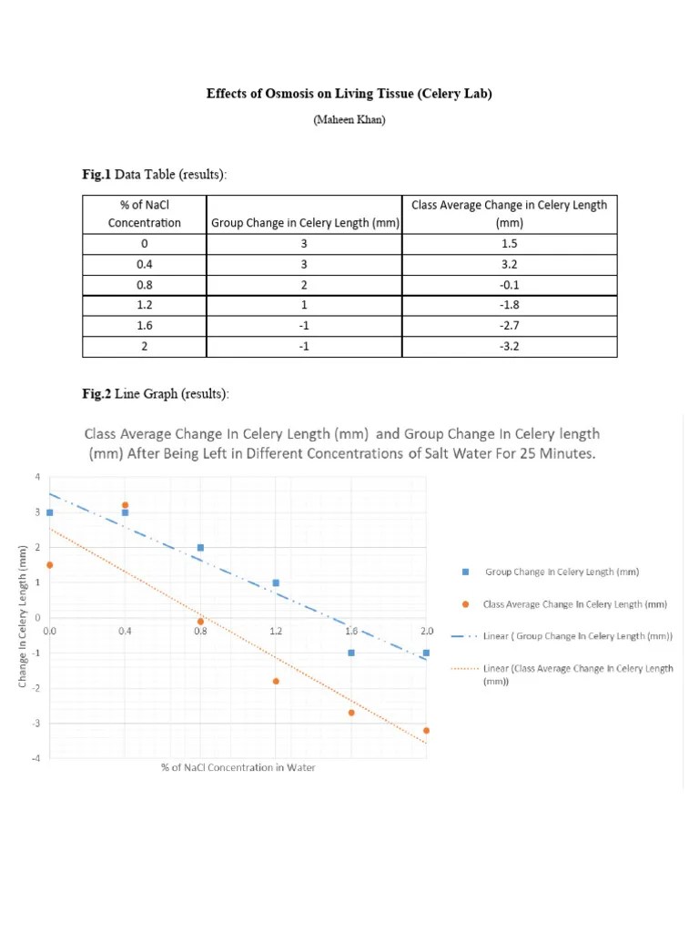 Effects of Osmosis On Living Tissue (Celery Lab) PDF Osmosis