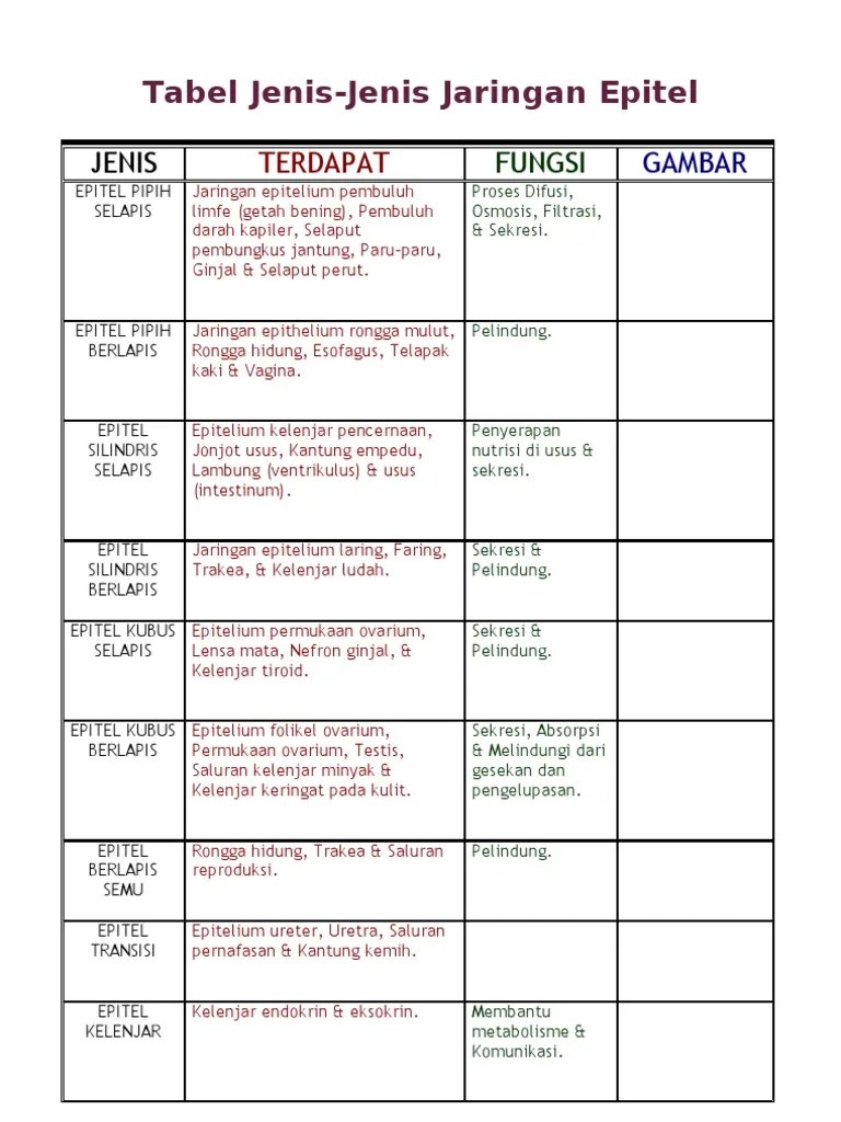 Tabel Jenis Epitel | PDF