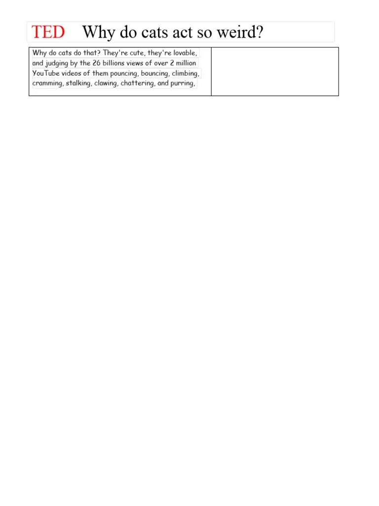 TED Why Do Cats Act So Weird PDF