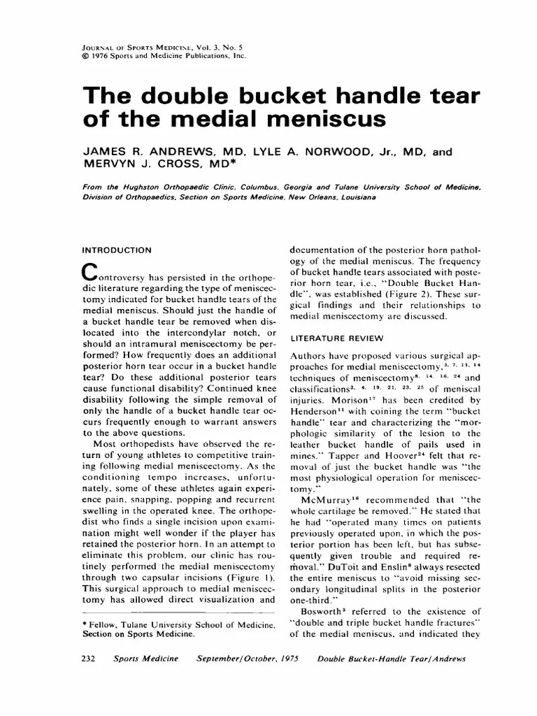 The double bucket handle tear PDF Knee Limbs (Anatomy)