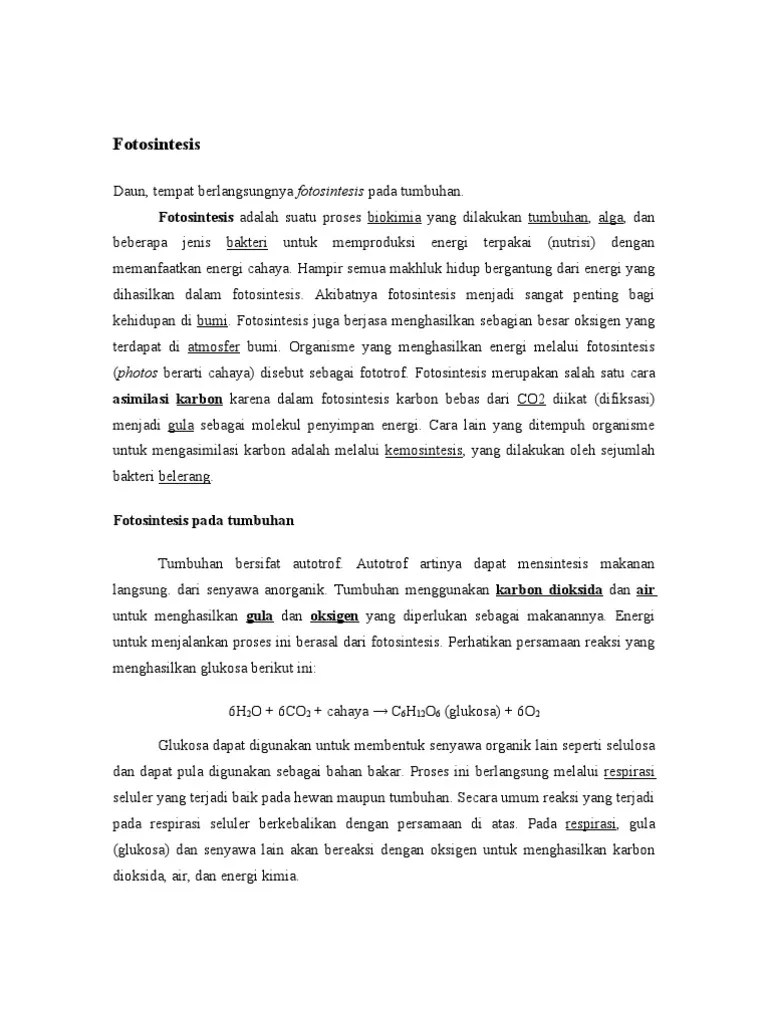 Tinjauan Pustaka Fotosintesis