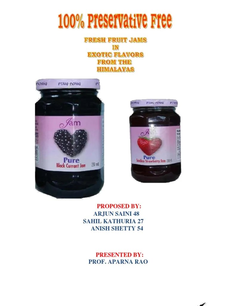 Jam Business Plan PDF Fruit Preserves Brand