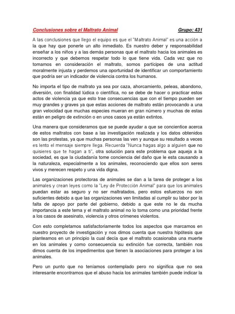 Conclusiones Sobre El Maltrato Animal Grupo