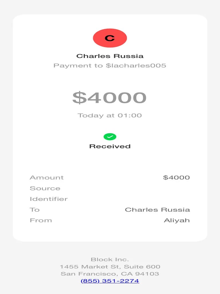 Fake Cash App Payment Screenshot Generator Top Info 2 PDF(03)