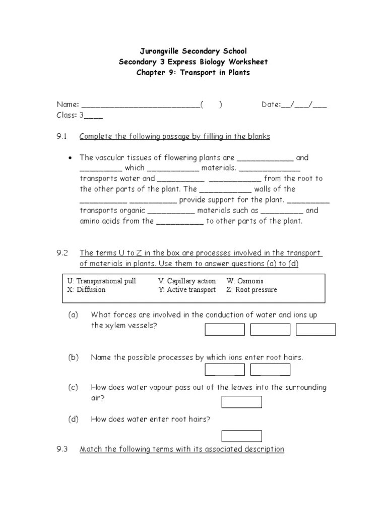 Chapter 9 Transport in Plants Worksheet Plant Morphology Branches