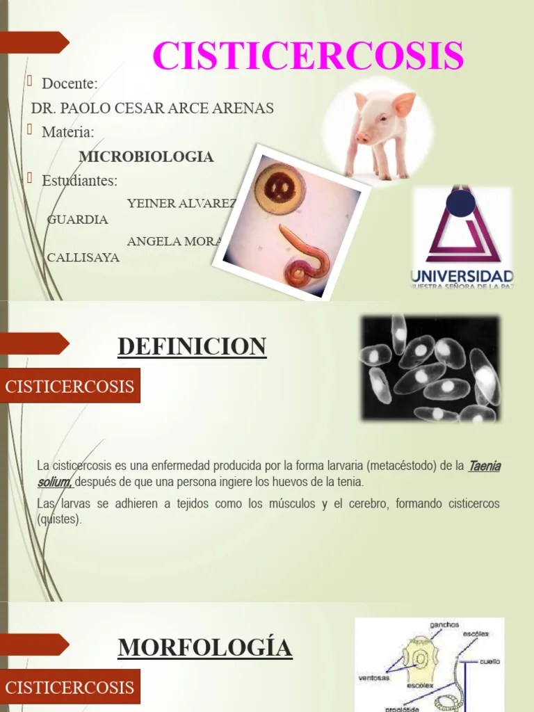 Cisticercosis Definición y Tratamientos PDF Epidemiología