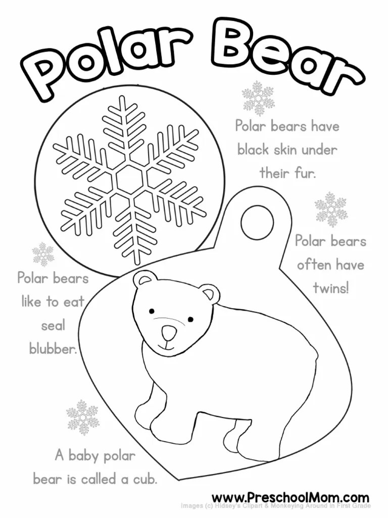 Polar Bear | PDF
