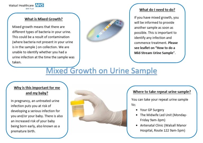 Mixed Growth Urine Leaflet PDF