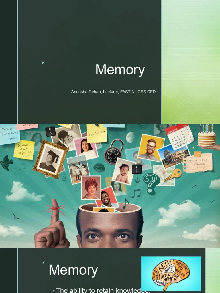 Memory PDF Memory Long Term Memory