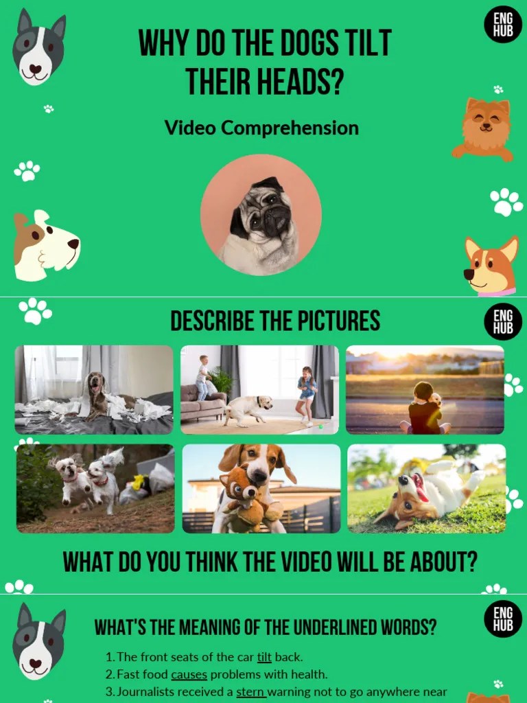 Why Dogs Tilt Their Heads Explained PDF Dogs