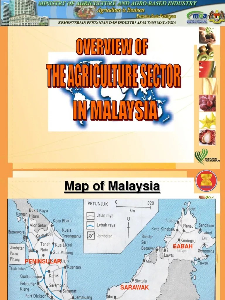Overview of Agriculture Sector in Malaysia 1230823436347415 1