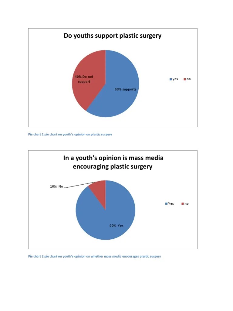 Pie Chart With Caption PDF Mass Media Public Opinion