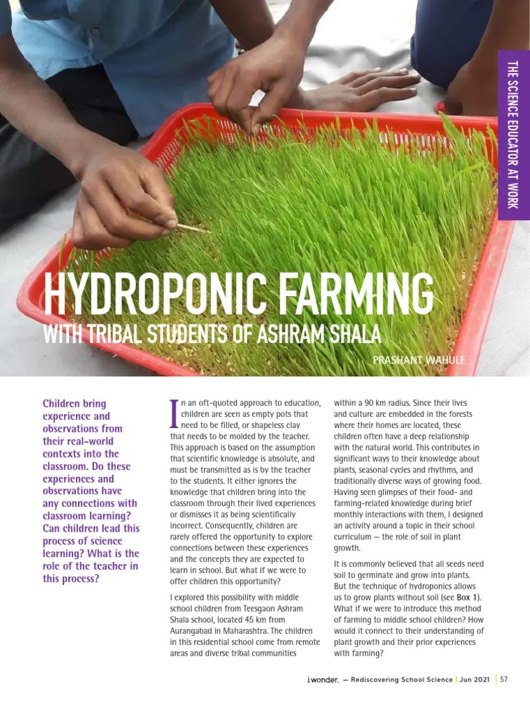 Article 10 Hydroponics (Activity Sheet) | Download Free PDF