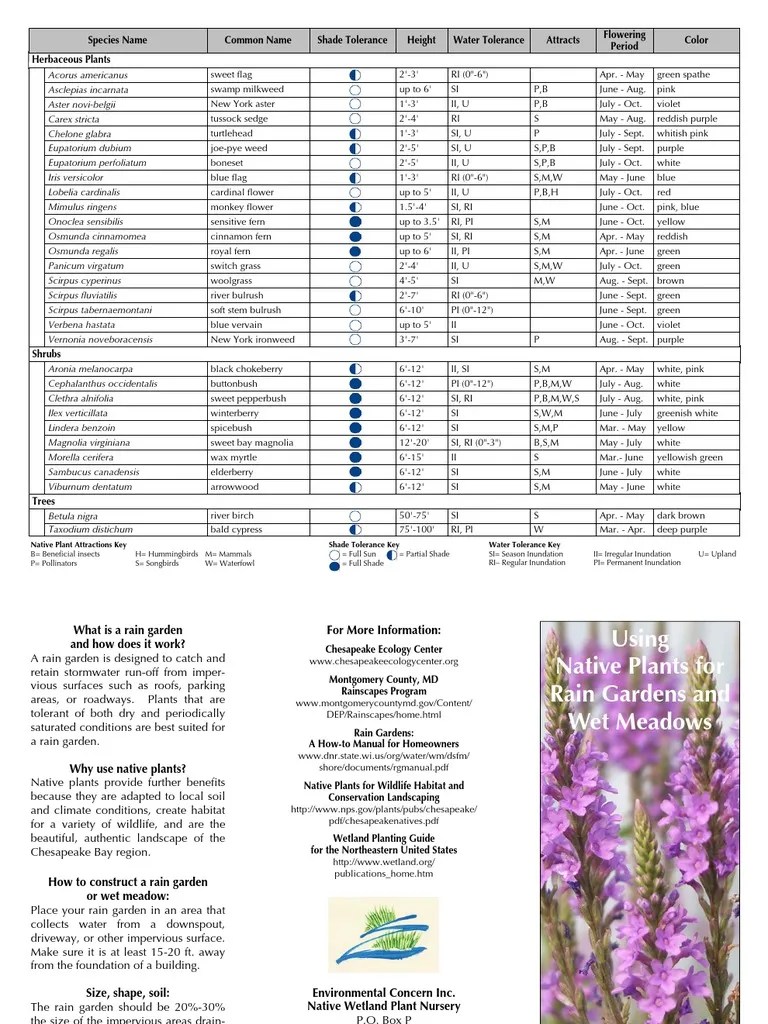 Maryland; Using Native Plants for Rain Gardens and Wet Meadows Land