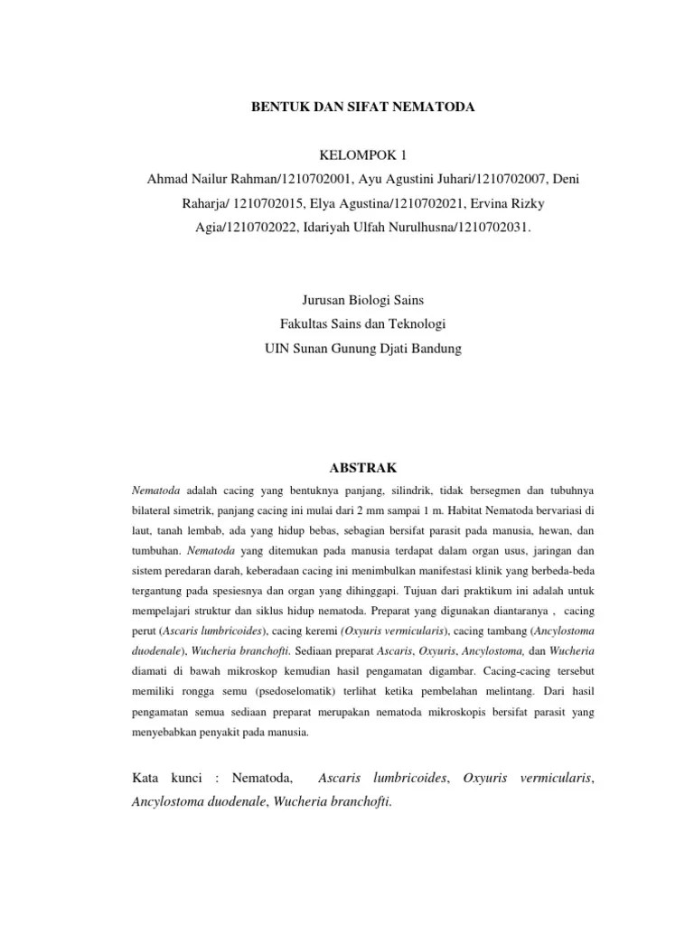 Download Gambar Sketsa Morfologi Cacing Ascaris Lumbricoides Sketsabaru