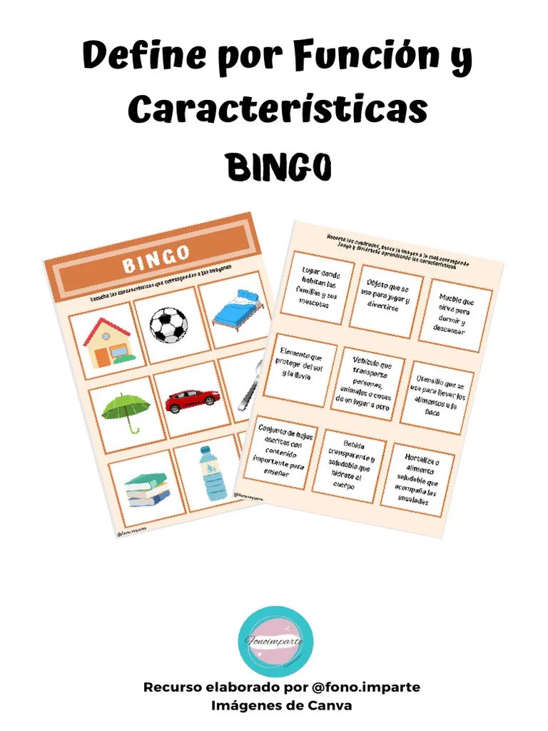 Bingo define por características PDF