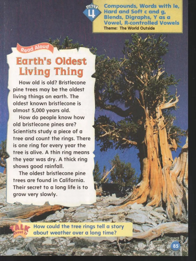 Phonics Level B Unit 4 PDF