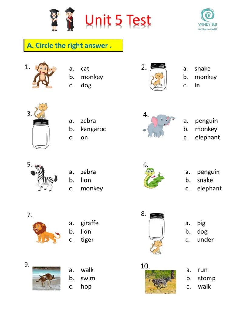 Unit 6 Test (Protected) PDF