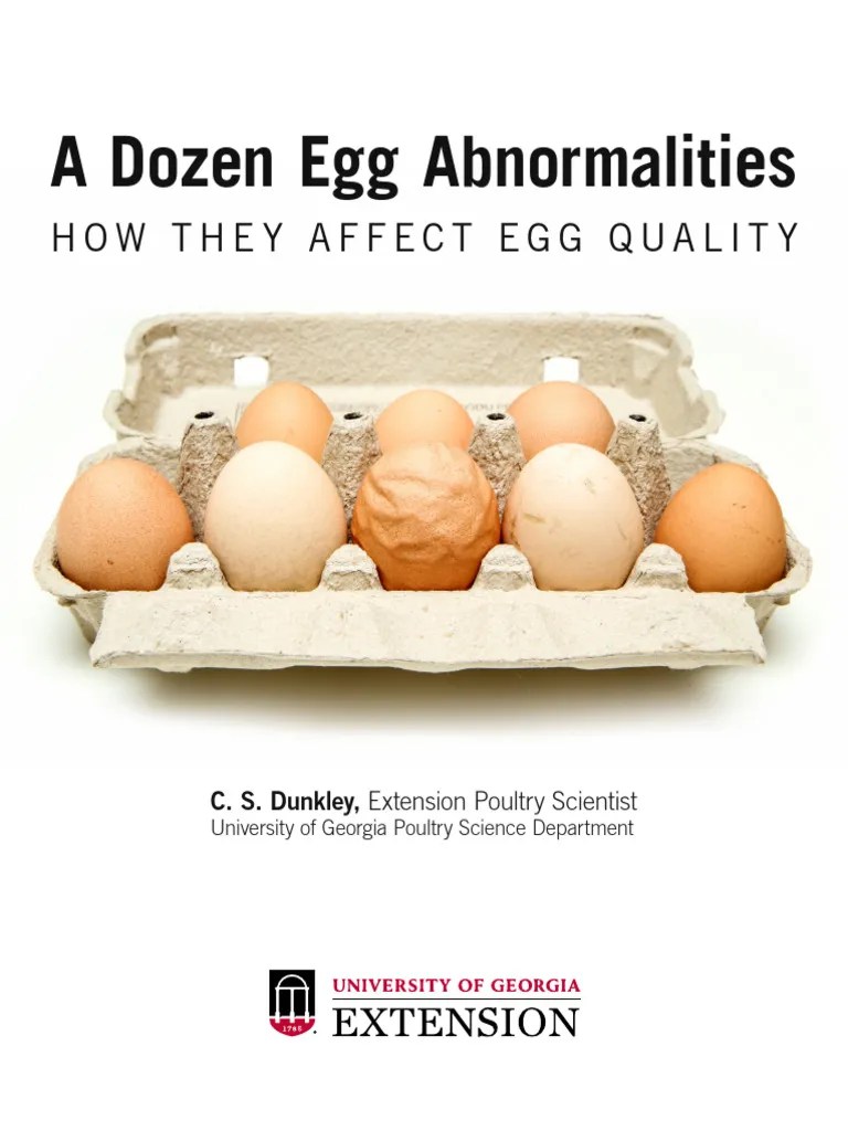 Egg Abnormalities HOW THEY AFFECT EGG QUALITY Download Free PDF Egg