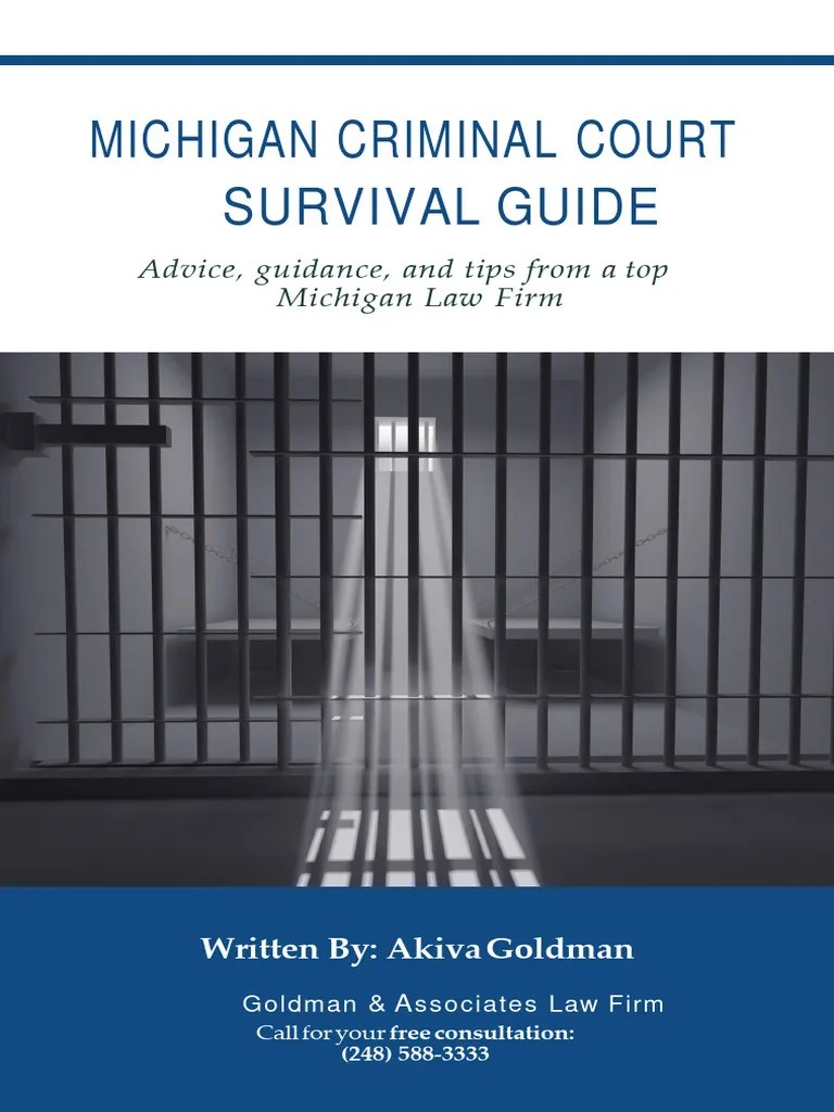 MI Criminal Court Survival Guide PDF Theft Burglary