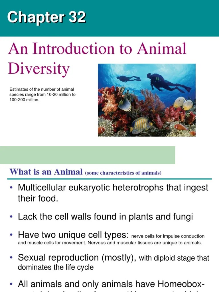 113Intro Animal DiversityChapter 32 Embryo Reproduction