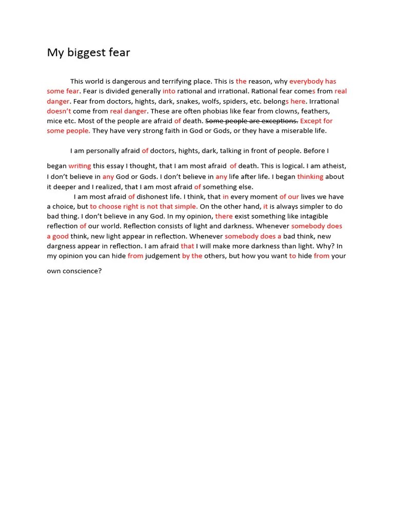 Confronting My Greatest Fear PDF