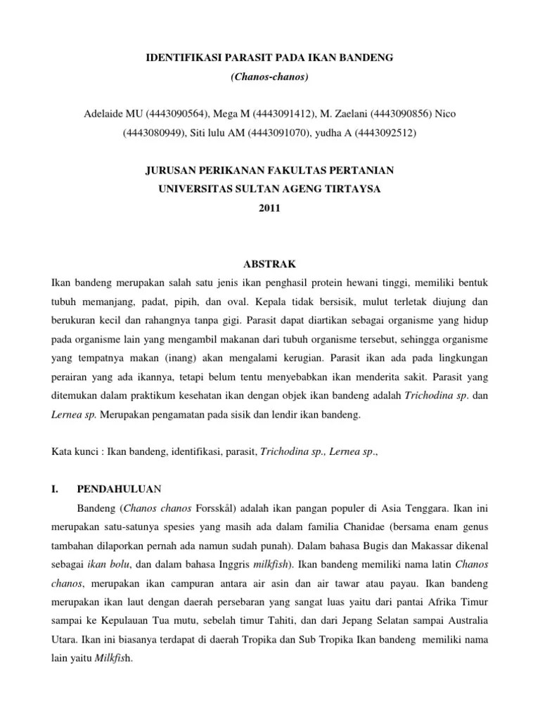 Laporan Jurnal Kel 2 Identifikasi Ikan Bandeng PDF