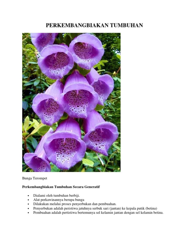Laporan Praktikum Perkembangbiakan Tumbuhan Struktur Bunga